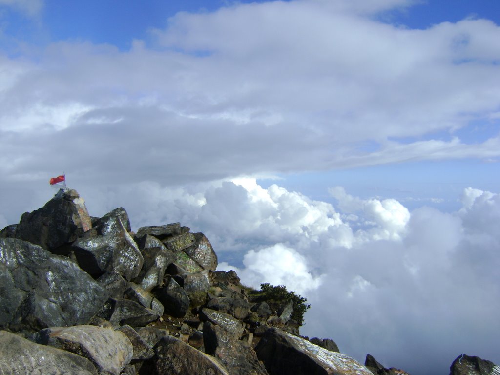 Merasakan Sensasi Mendaki Gunung  Arjuno  Tempat me